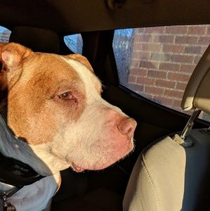 Meet your Posher, Timothy